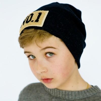 Дитяча демісезонна шапочка для хлопчика \"Брукфілд\", DemboHouse (ДембоХаус)