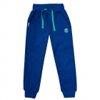 Детские брюки для мальчика (ШР491), Бемби