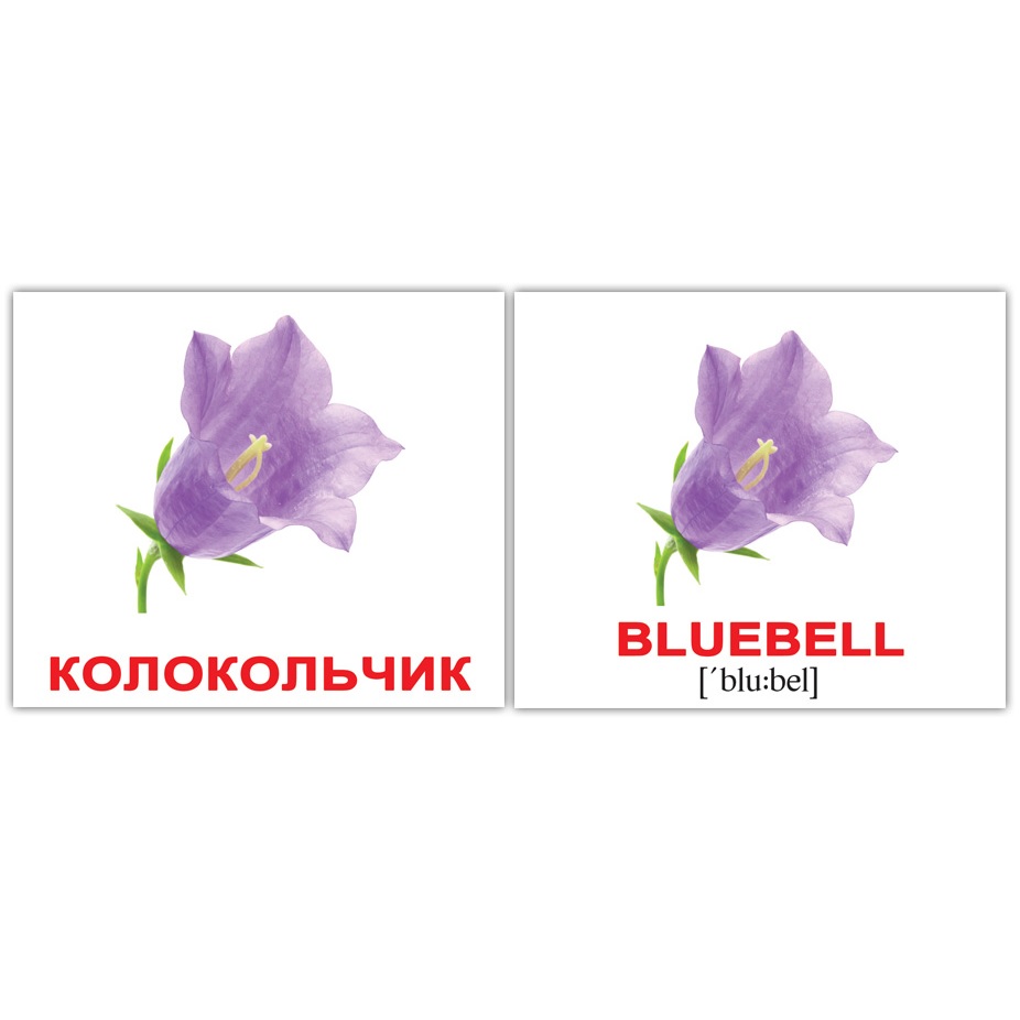 Міні-картки Домана "Flowers / Квіти", 20 карток