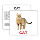 Картки Домана "Pets and farm animals with facts", 30 карток (інструкція на Укр) ламіновані