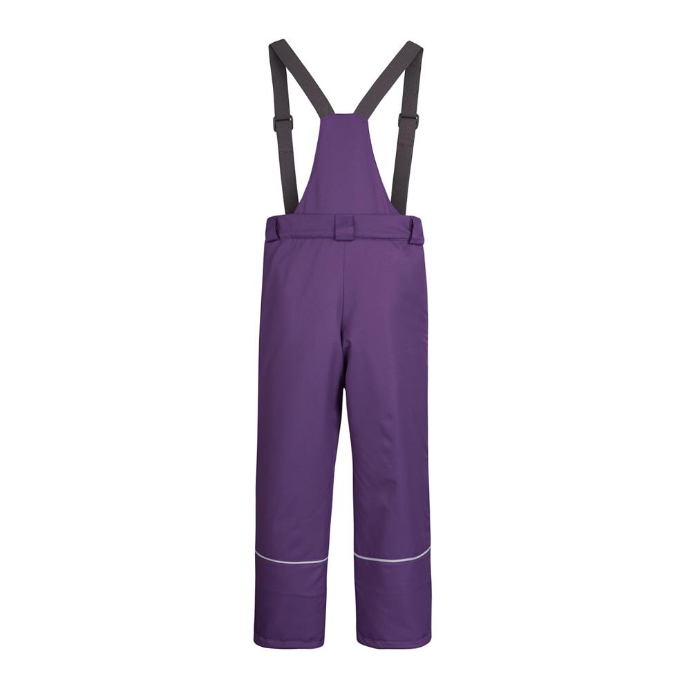 Ä Дитячий зимовий напівкомбінезон фіолетовий (950-02013-22) DaNa-kids B.TEX