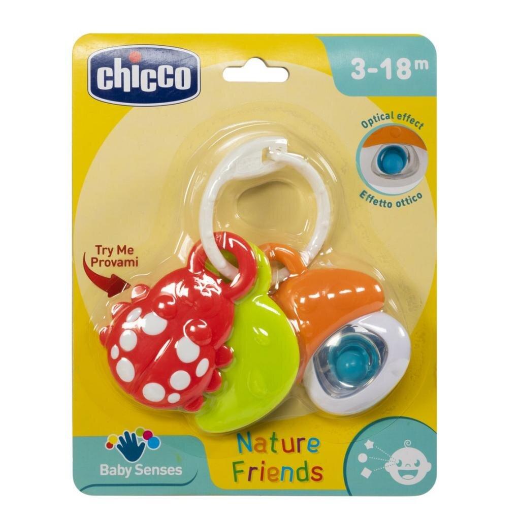 Іграшка-брязкальце Справжні Друзі (09709.00), Chicco (Чіко)