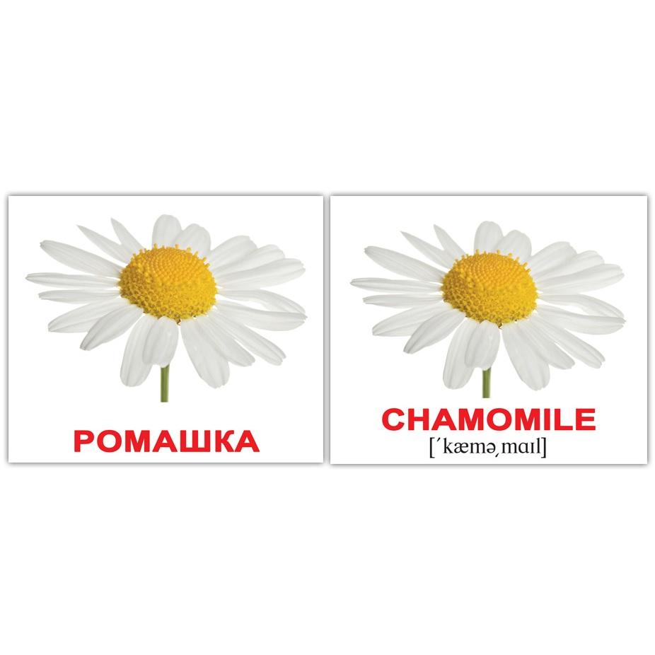 Міні-картки Домана \"Flowers / Квіти\", 20 карток
