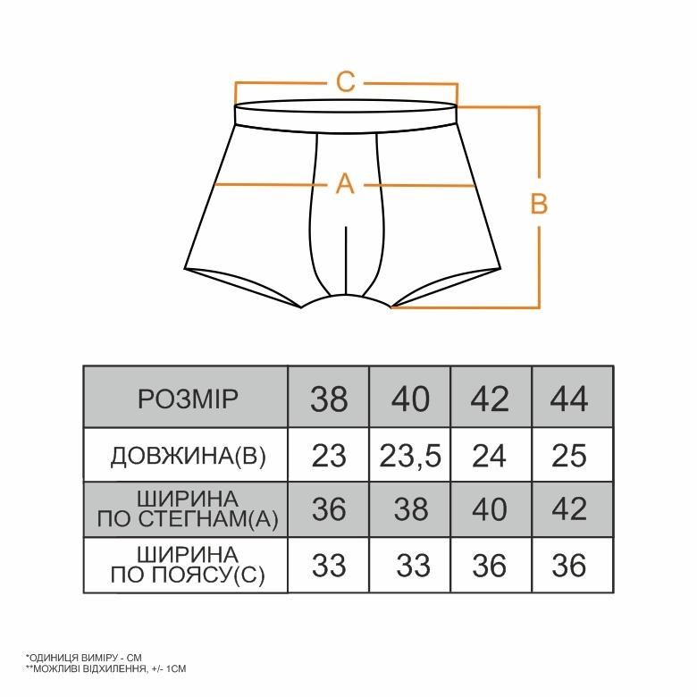 Боксери для хлопчика підлітка набір 2 шт. (14104), Gabbi Габбі