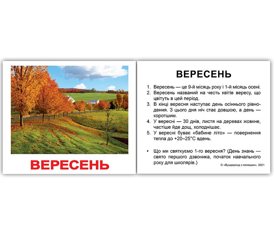 Міні-картки Домана \"Побутова техніка/Electronics\", 40 карток українська мова