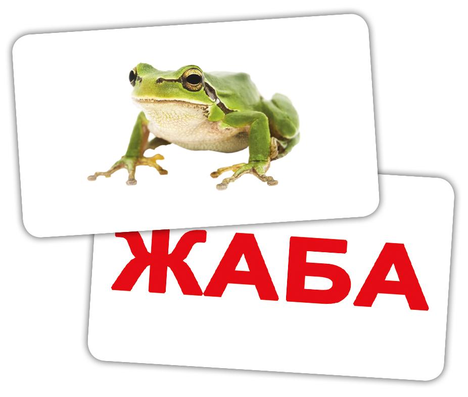 Карточки Домана «Парочки. Чтение», с инструкцией на украинском, Вундеркинд с пеленок