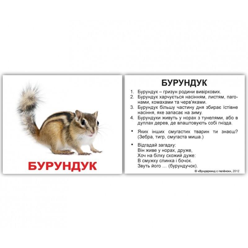 Мини - карточки Домана \"Дикі тварини з фактами\" украиноязычные, 40 карточек, Вундеркинд с пеленок
