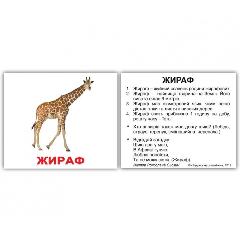 Міні - картки Домана \"Дикі тварини з фактами\" україномовні, 40 карток, Вундеркінд з пелюшок
