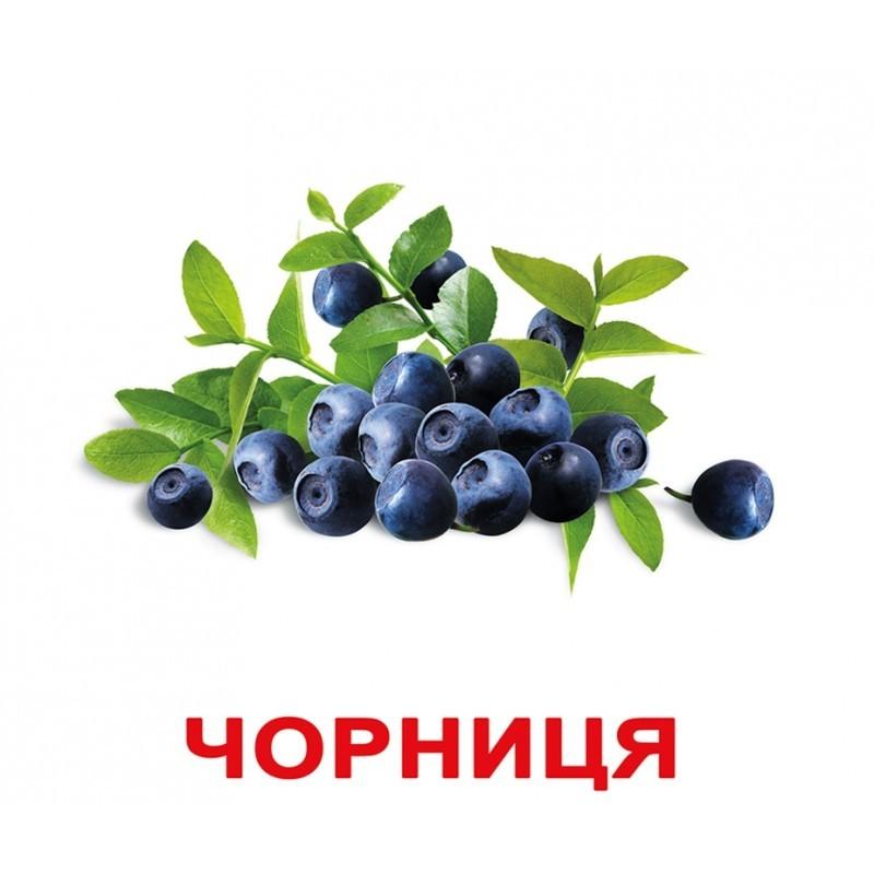 Карточки Домана \"Ягоди\" украиноязычные, 20 карточек, Вундеркинд с пеленок
