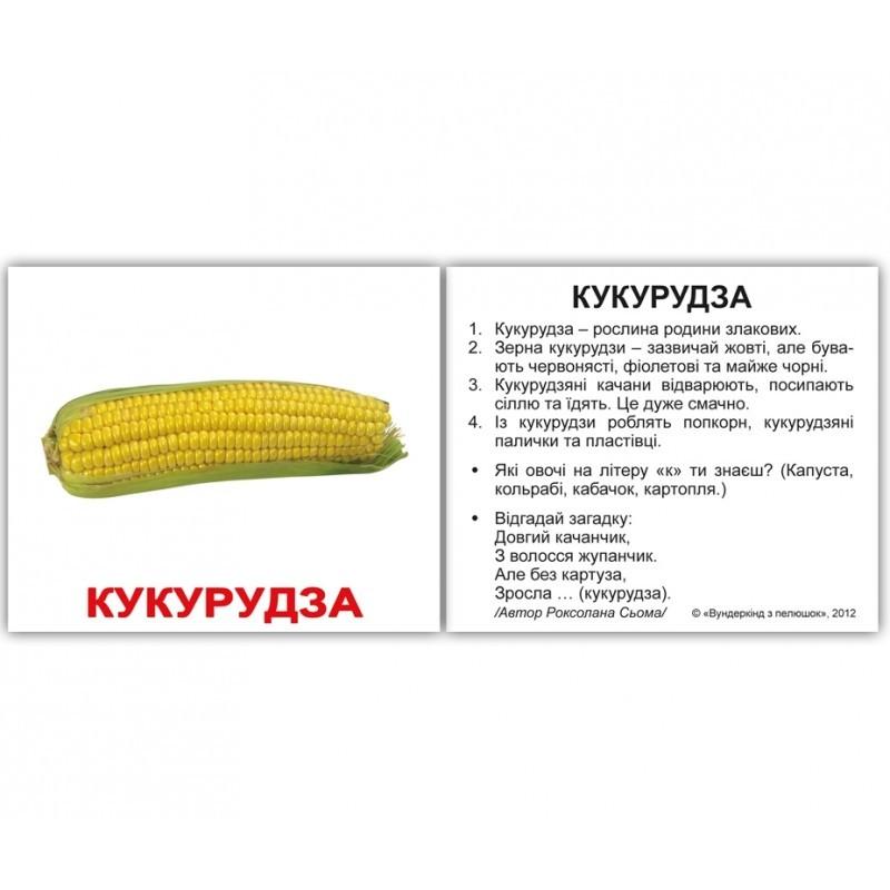 Міні - картки Домана \"Овочі з фактами\" україномовні, 40 карток, Вундеркінд з пелюшок