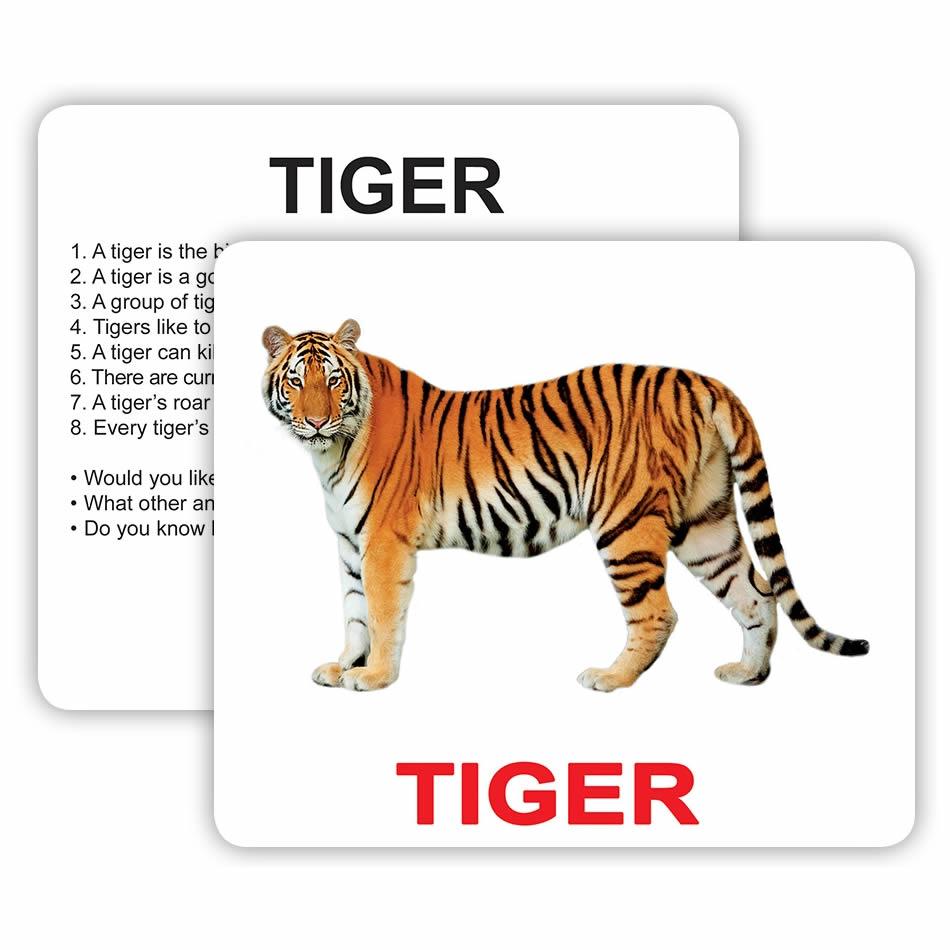 Картки Домана з фактами англомовні \"Wild animals with facts\", 30 карток (інструкція на Укр)
