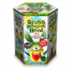 Набор для детского творчества "Grass monsters head" (GMH-01), Danko Toys (Данко Тойс)