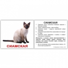 Міні-картки Домана "Породи кішок" з фактами, 20 карток, Вундеркінд з пелюшок