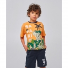 Летняя футболка для мальчика, оранжевая (110751), Смил