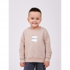Джемпер толстовка для хлопчика, бежевий, 116720-1, Smil