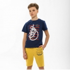 Детская футболка для мальчика, Южный ветер, серо-синяя (110550, 110587), Смил