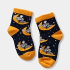 Дитячі махрові шкарпетки Мишки (306), TwinSocks
