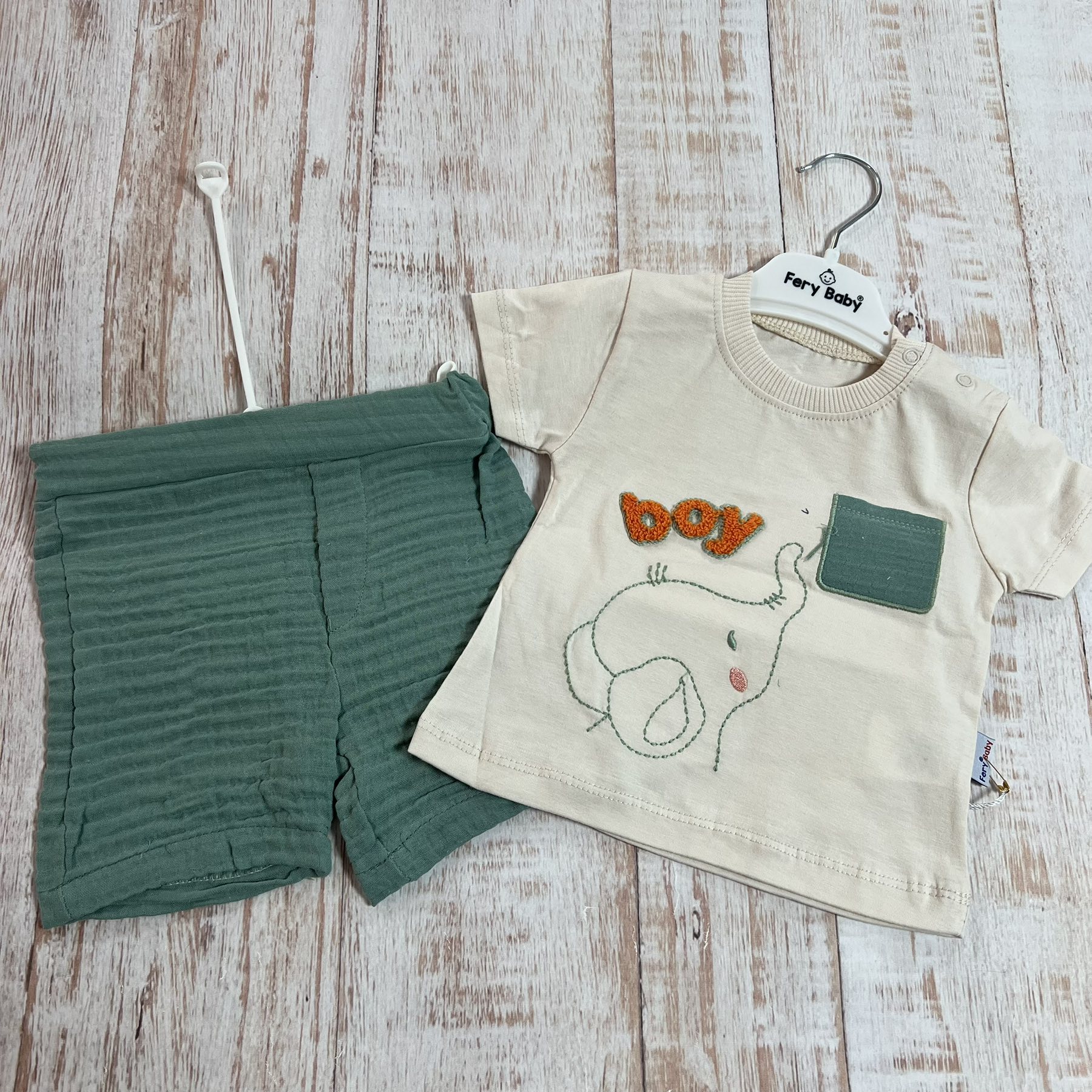 Дитячий літній костюм для хлопчика футболка та шорти, 246/B, Fery Baby